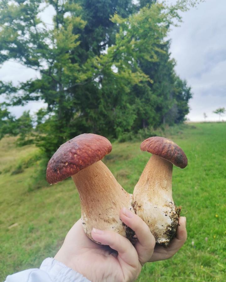 Біла Хижа Verkhne-Studenyy Bagian luar foto