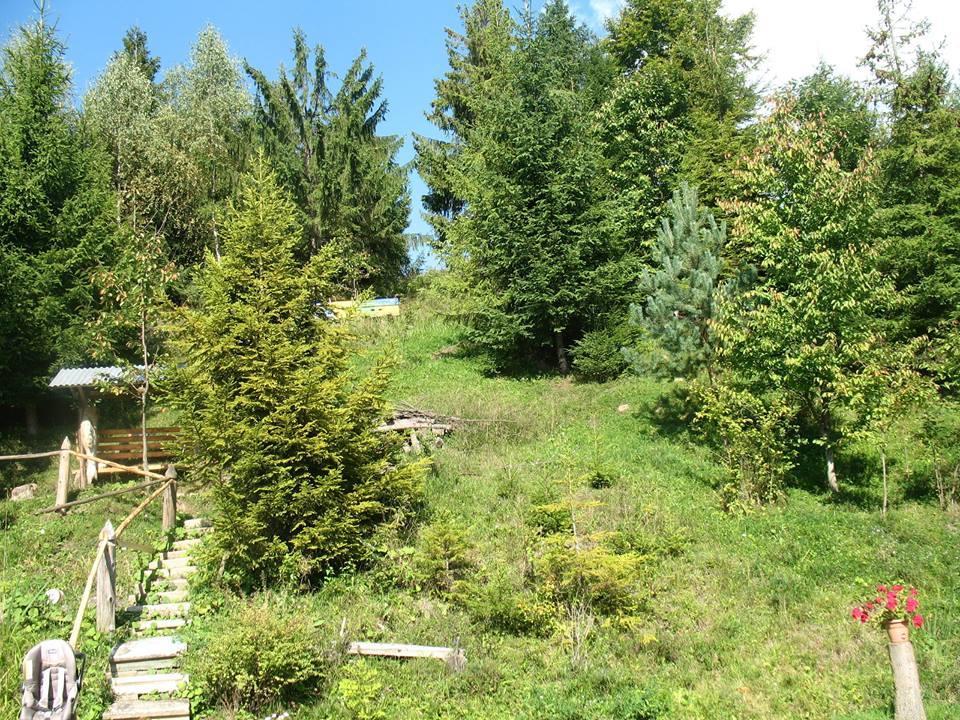 Біла Хижа Verkhne-Studenyy Bagian luar foto